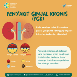 Leaflet Pencegahan Penyakit Ginjal Kronis